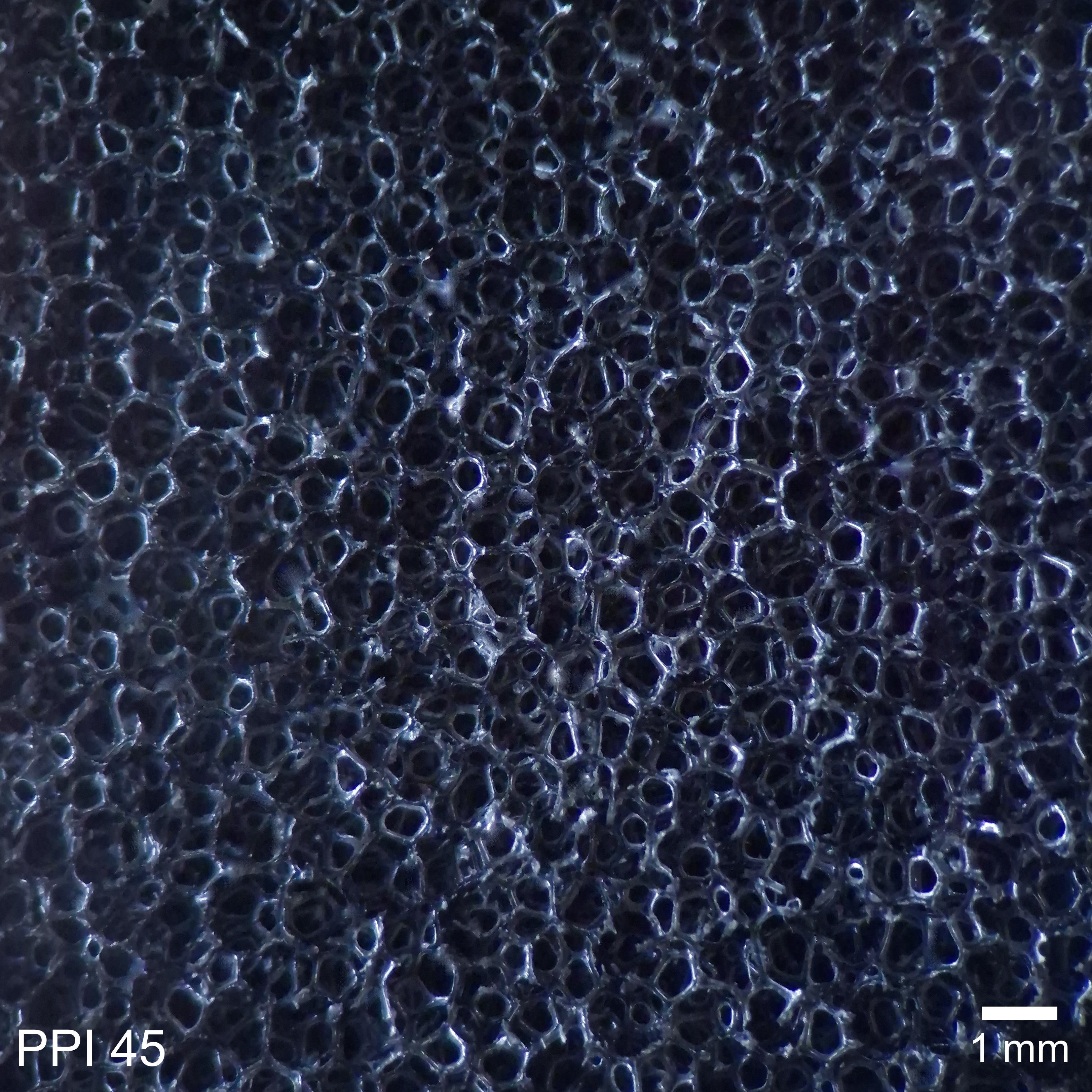 PPI 45