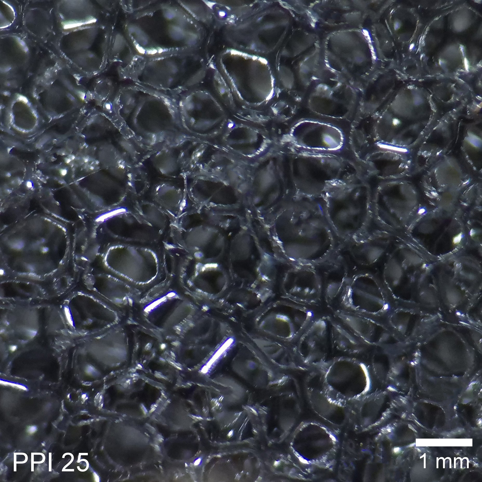 PPI 25